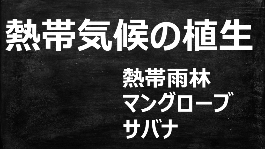 【地理】熱帯気候の植生|熱帯雨林・マングローブ・サバナ | みちくさスタディ