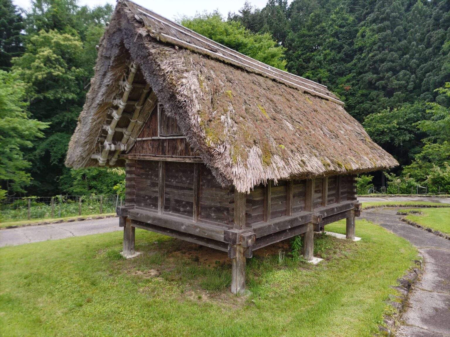 【水稲耕作の遺跡】縄文時代晩期～弥生時代の水田跡を解説！ | みちくさスタディ